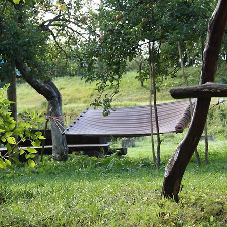 Садиба Під Гострою Zjdenjevo Eksteriør bilde